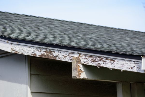 Las Vegas Wood Rot Repair