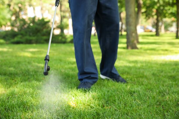 Las Vegas Lawn Treatment