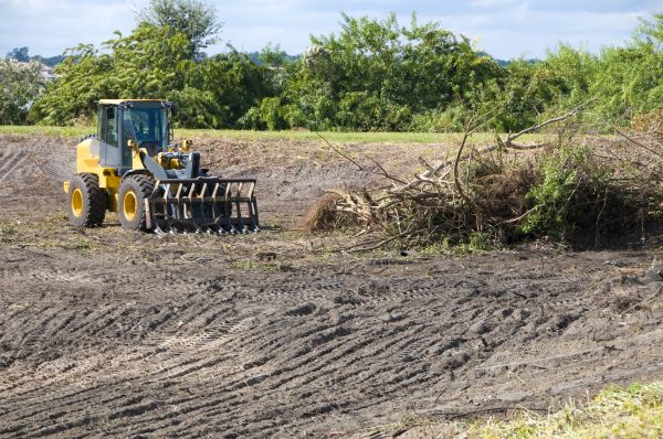 Las Vegas Land Clearing